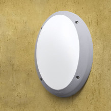 Globe Danzi gris opal E27