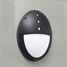 Globe Danzi VE noir opal E27