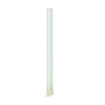 Ampoule PL-L 36W - 840 Blanc Froid | 4 Pin