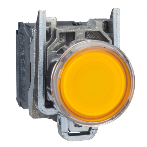 XB4BW3565- bouton-poussoir lumineux orange 0 22 - à impulsion affleurant - 250 V - 1O+1F