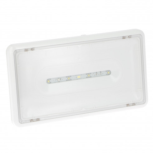 BAEH saillie à LEDs 8lm 5h IP43 IK07 plastique SATI Connecté pour bâtiments d'habitation