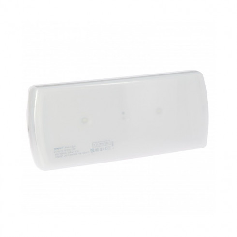 Luminaire d'urgence LED standard - Non-permanents (NP) - 100 lumens - Autonomie 1 heure - LED - Batterie Ni-Cd