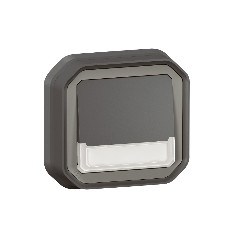 Poussoir NO-NF lumineux porte-étiquette avec voyant étanche Plexo 10A IP55 IK08 complet fixation encastré - anthracite