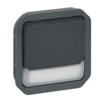 Poussoir inverseur lumineux porte étiquette 10A Plexo - Composable - Anthracite - IP55 - IK08